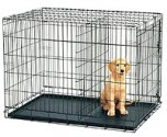 iCrate Single Door Dog Kennel - Shown with free crate divider