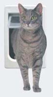 [photo] Ideal Hefty Pet (Kat)
