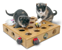 Peek-A-Prize Toy Box with Cats Playing